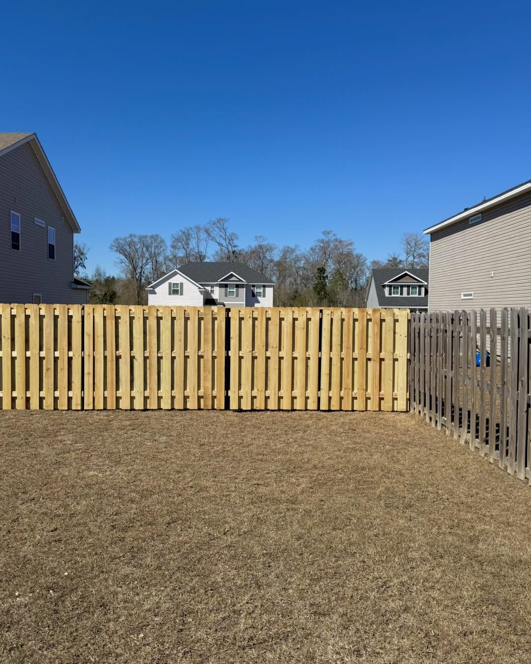 New wood shadowbox privacy fence in a backyard
